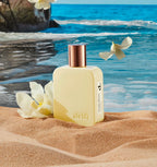 Vanilla Shores