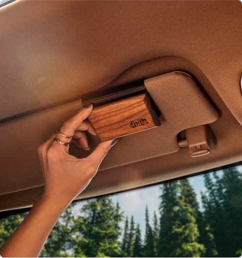 Coconut Pistachio Wood Car Freshener Refill